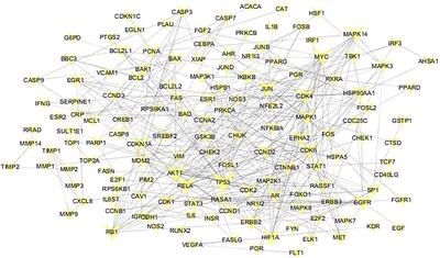 The Antitumor Effect and Mechanism of Total Flavonoids From Coreopsis Tinctoria Nutt (Snow Chrysanthemum) on Lung Cancer Using Network Pharmacology and Molecular Docking